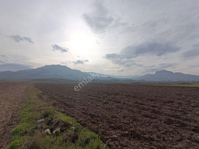 Arsa-Tarla