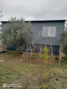Arsa-Bağ & Bahçe