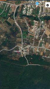 Arsa-Zeytinlik