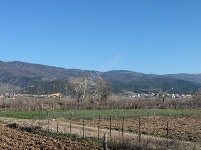 Arsa-Tarla