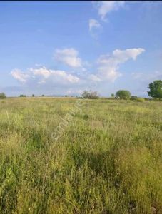 Arsa-Tarla