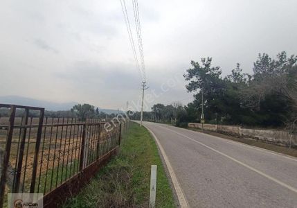 Arsa-Tarla