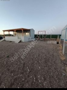 Arsa-Bağ & Bahçe