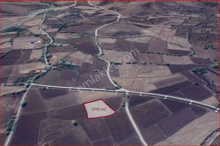 Arsa-Tarla