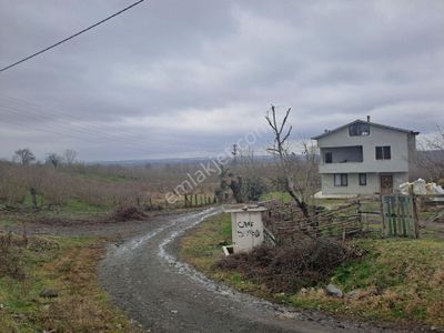 Arsa-Tarla