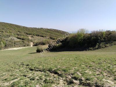 Arsa-Tarla