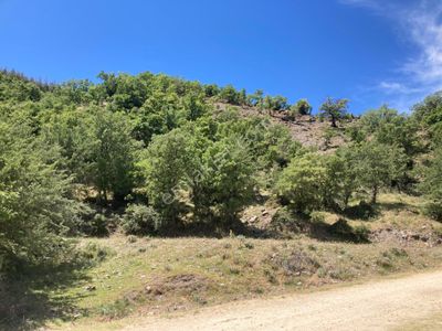 Arsa-Tarla