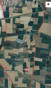 Arsa-Tarla