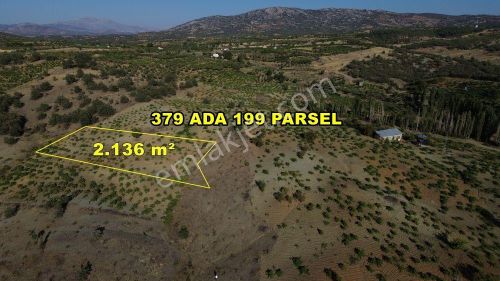 Arsa-Tarla