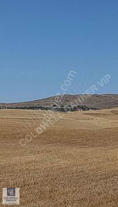 Arsa-Tarla