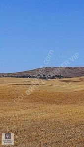 Arsa-Konut İmarlı