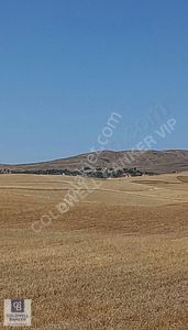 Arsa-Konut İmarlı
