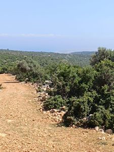 Arsa-Tarla