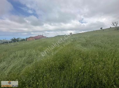 Arsa-Tarla