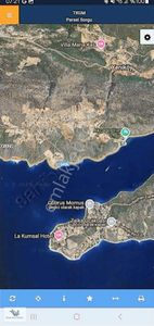 Arsa-Zeytinlik