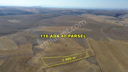 Arsa-Tarla