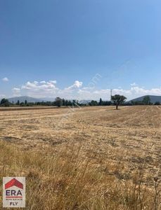 Arsa-Tarla
