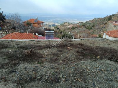 Arsa-Bağ & Bahçe