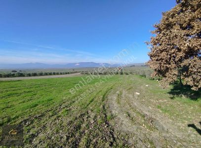 Arsa-Tarla