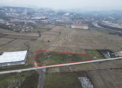 Arsa-Depo, Antrepo İzinli