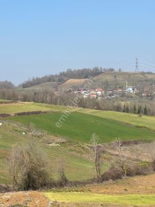 Arsa-Tarla
