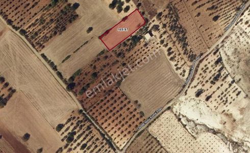 Arsa-Tarla