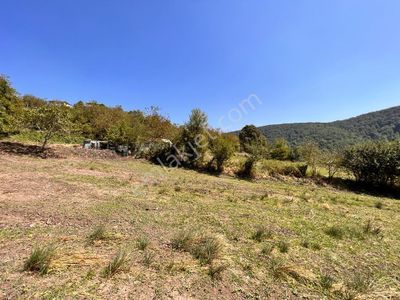 Arsa-Konut İmarlı