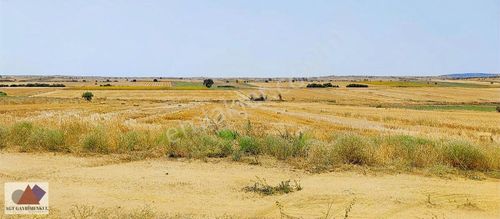 Arsa-Tarla