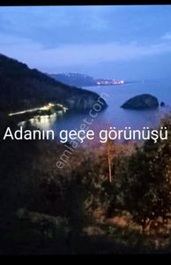 Arsa-Bağ & Bahçe