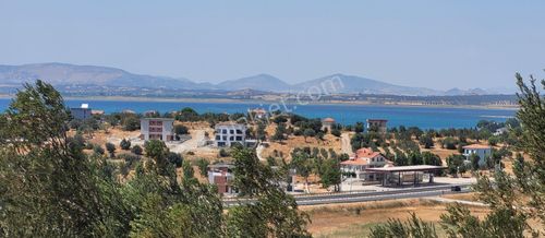Arsa-Zeytinlik