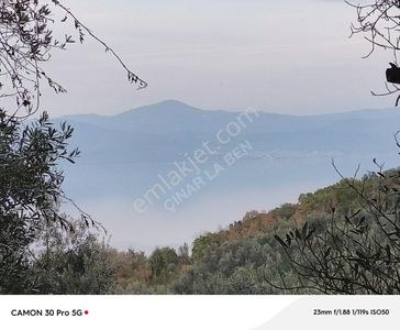 Arsa-Bağ & Bahçe