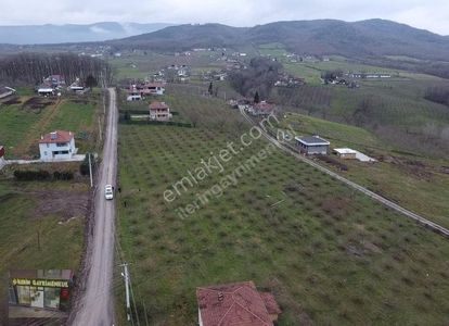 Arsa-Konut İmarlı