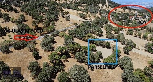 Arsa-Tarla