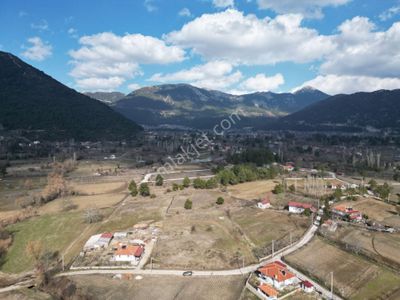 Arsa-Tarla