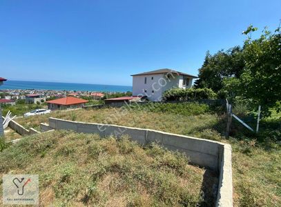 Arsa-Villa İmarlı