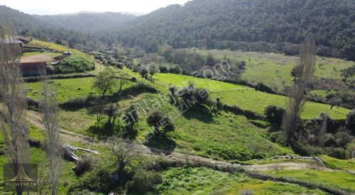 Arsa-Konut İmarlı