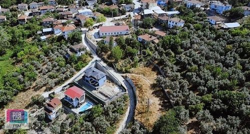 Arsa-Zeytinlik