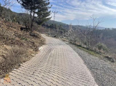 Arsa-Bağ & Bahçe