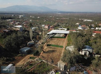 Arsa-Konut İmarlı