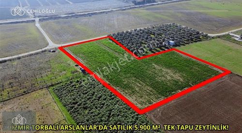 Arsa-Tarla