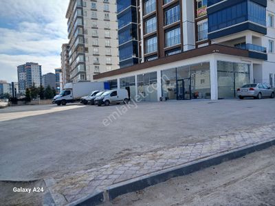 İşyeri-Dükkan & Mağaza