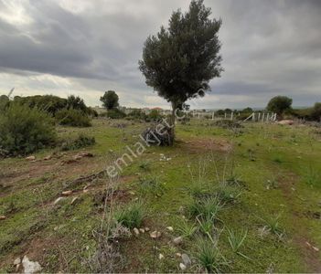 Arsa-Konut İmarlı