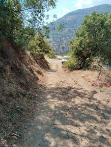 Arsa-Tarla