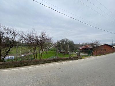Arsa-Konut İmarlı