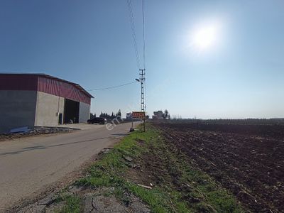 Arsa-Tarla