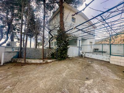 Arsa-Bağ & Bahçe