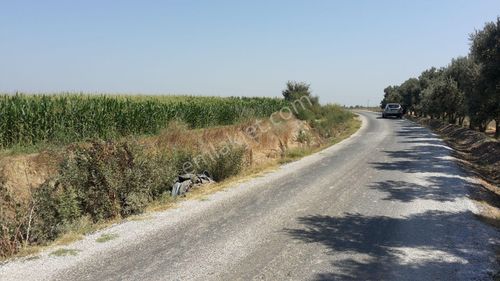 Arsa-Tarla