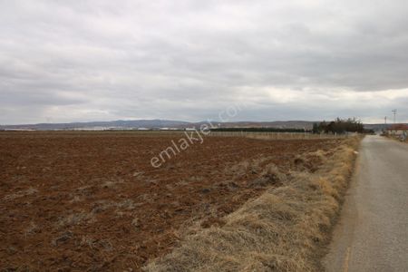 Arsa-Tarla
