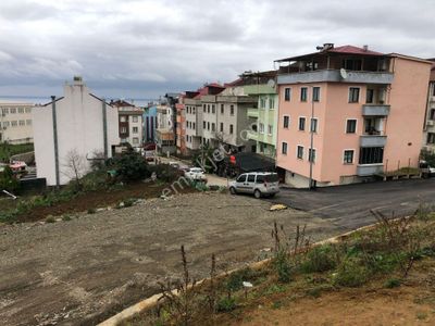 Arsa-Konut+Ticaret Alanı