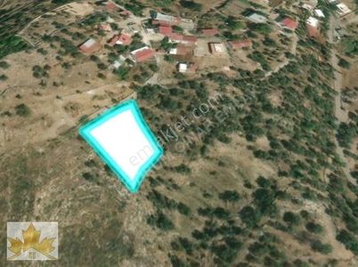 Arsa-Zeytinlik